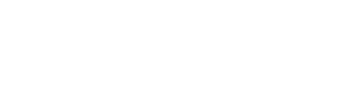 Blue Fox RV Logo