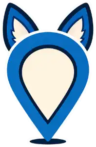 fox search icon